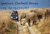 Corbett Tour Packages