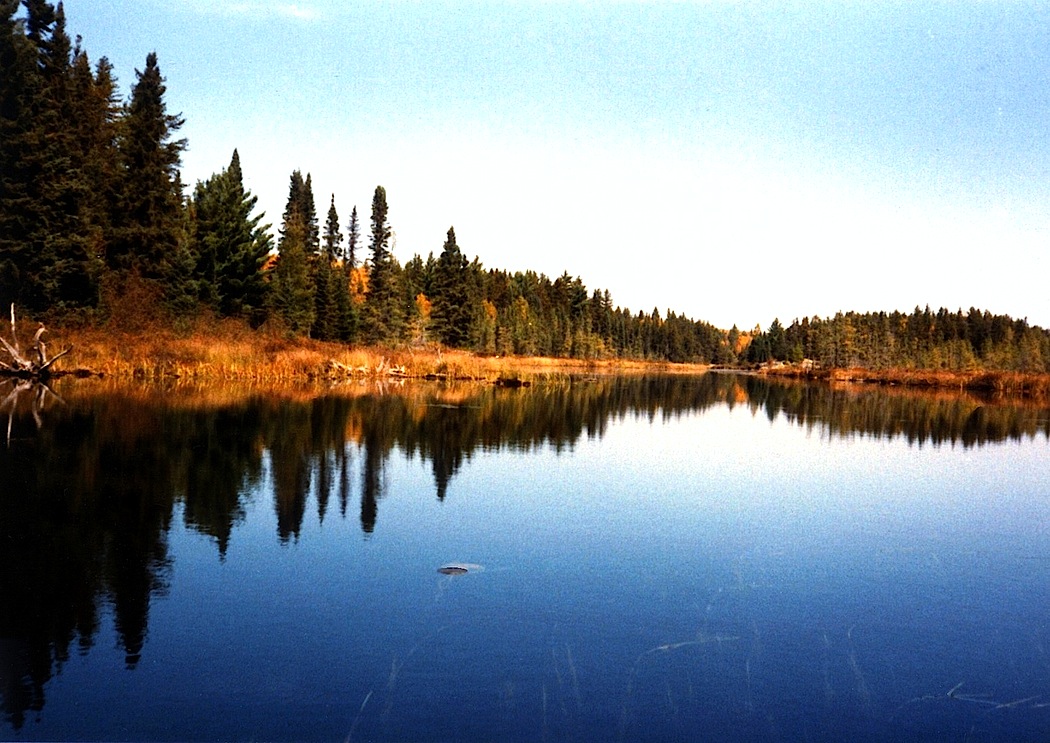 A drifting cowboy Loons and other icons of the northwoods