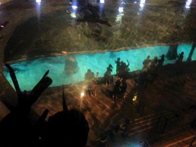 Mermaid, River Safari, Singapore