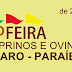 Divulgada a Programação Oficial da VI Expofeira do Município de Amparo