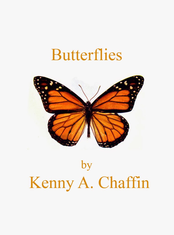 The Bleeding Edge Butterflies