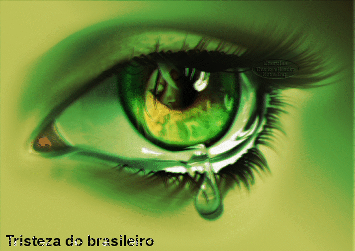Resultado de imagem para DIA TRISTE PARA O BRASIL