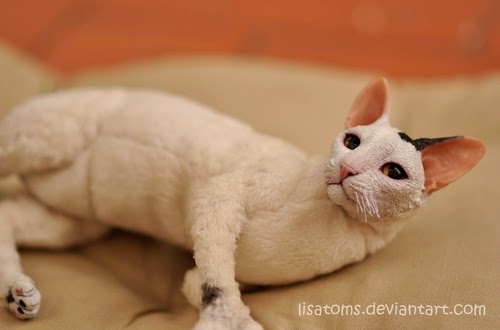 17-Cornish-Rex-Cat-Lisa-Toms-Maker-of-Mythical-Creatures-and-Pet-Dolls-www-designstack-co