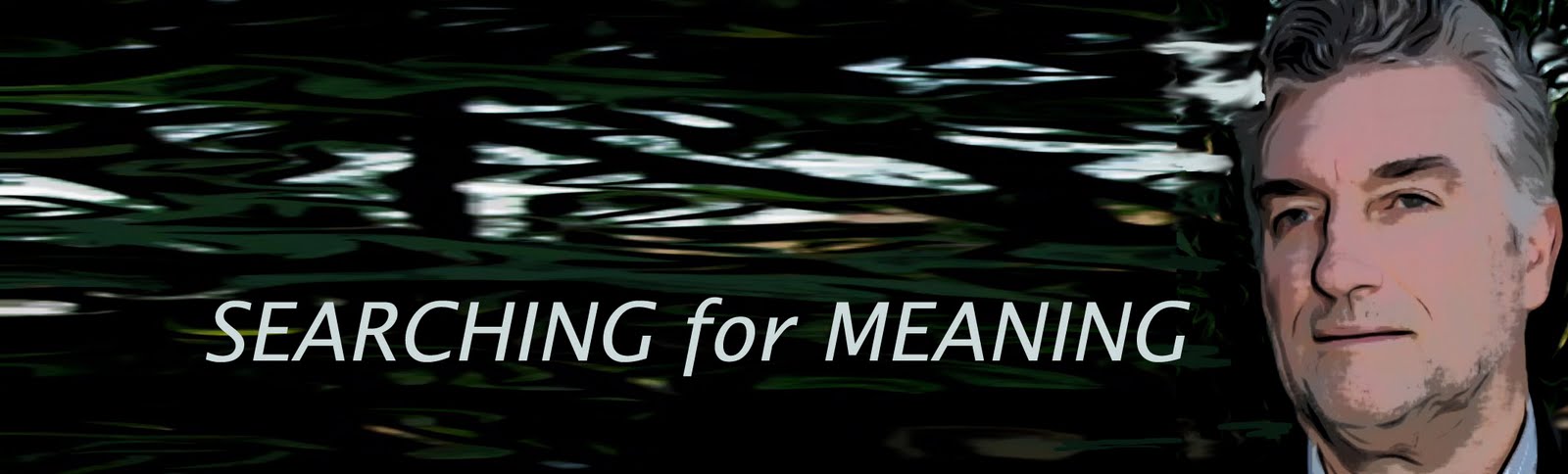 Searching for Meaning