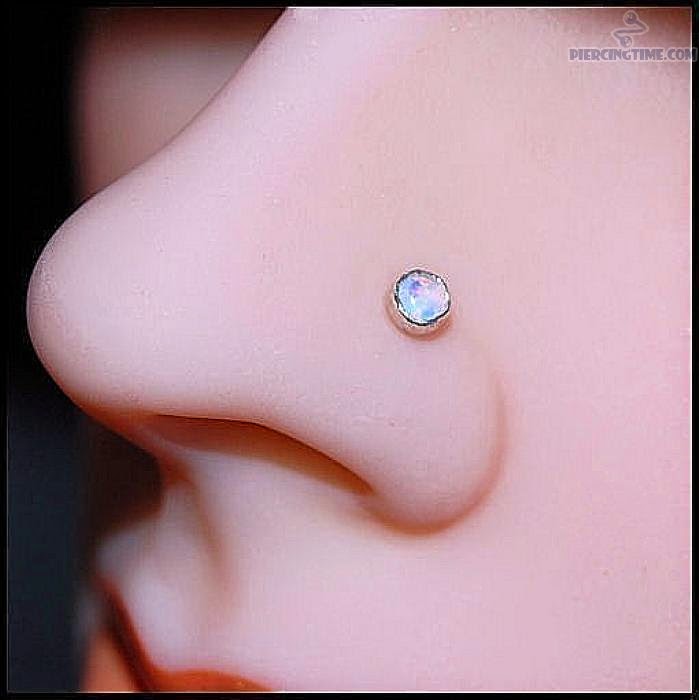 Nose Rings & Nose Studs Collection 2015 Stylish Yet Cheap In Price