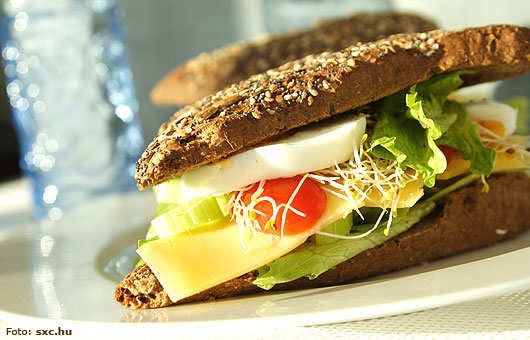 El mundo De Las comidad rrapidas: COMIDAS RAPIDAS Y FAVORITAS DE LOS