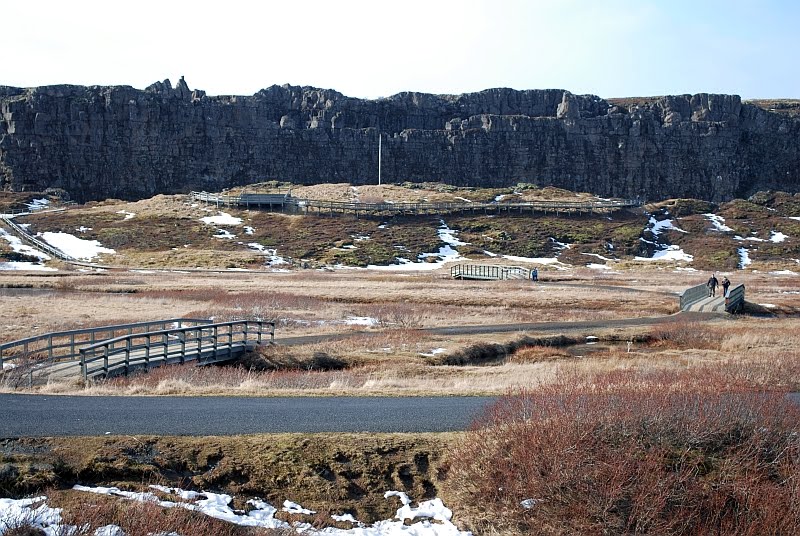 fortyfive the rift valley