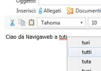 controllo ortografia in internet explorer