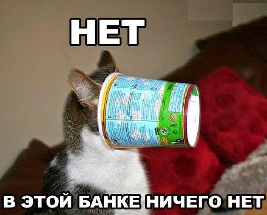 Смешной кот: В этой банке ничего нет