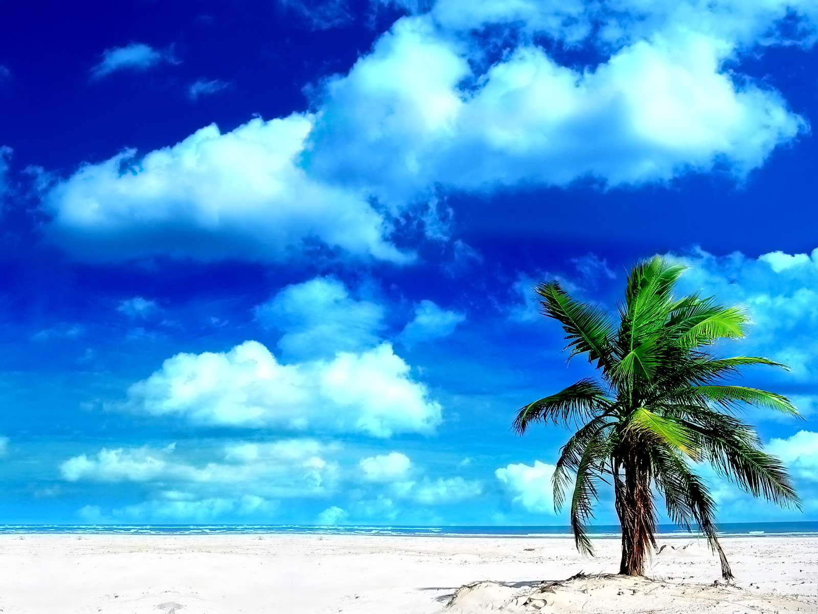 http://4.bp.blogspot.com/-UqbqFU4zJoA/TntdrMFTE8I/AAAAAAAACPY/MzRMzQH_hIM/s1600/mobile+wallpapers+and+themes+2.jpg