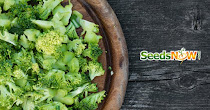 SeedsNOW.com