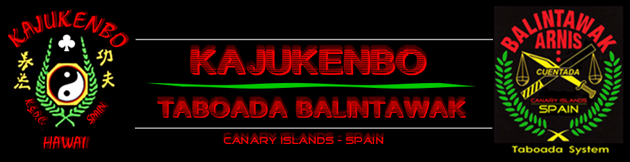 KAJUKENBO KSDC - KSDI