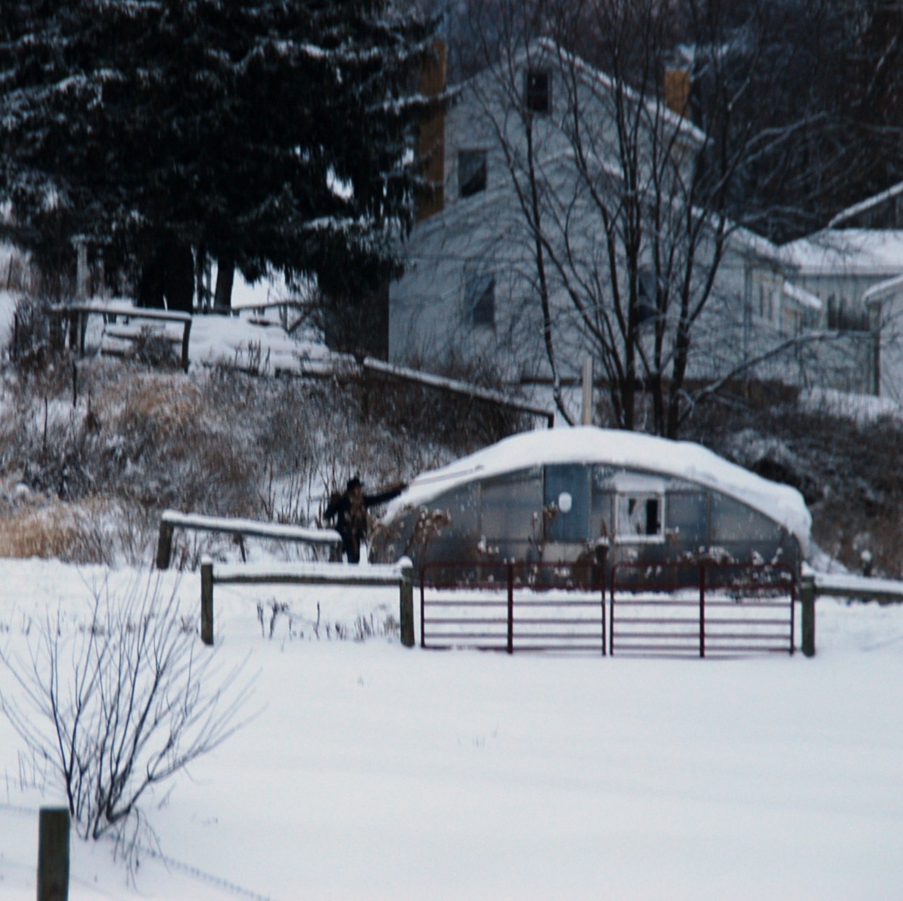 Amish Crossings with Karen Anna Vogel Amish Winter Pictures shot in