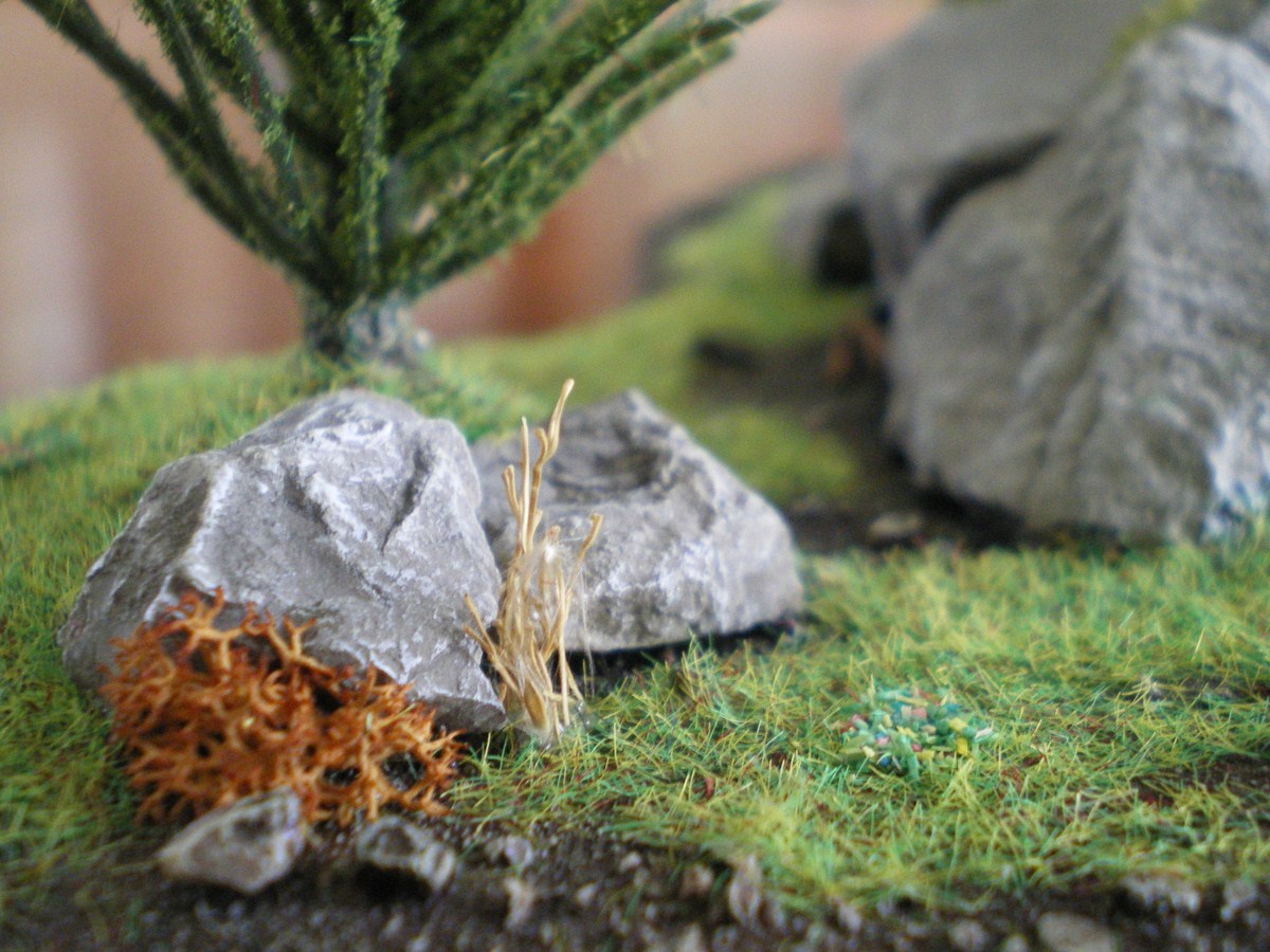 El racó de la Terra Mitja: julio 2012