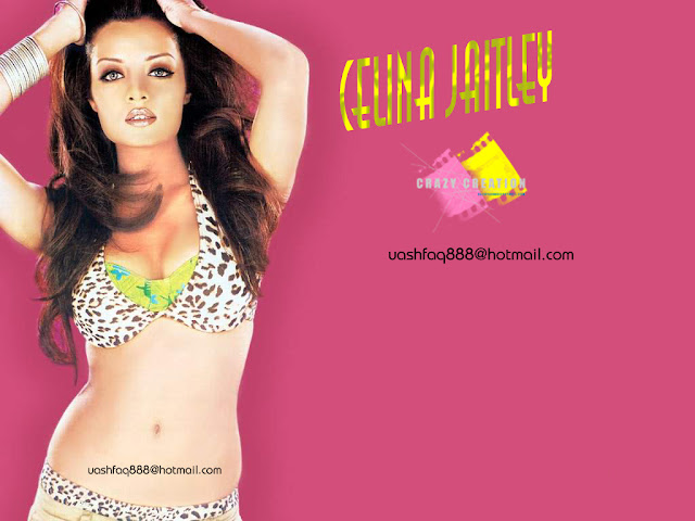 Indian Celeb » Actress Celina Jaitley
