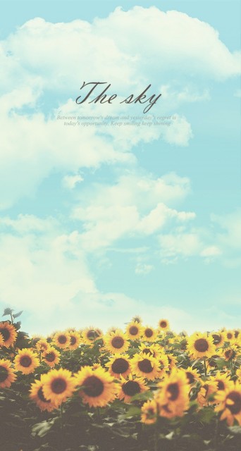 Sunflower Sky Keep Shining Android Wallpaper