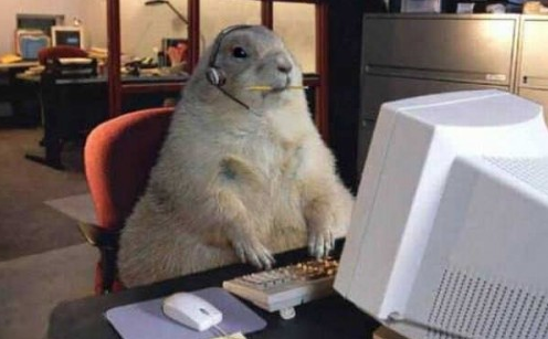 groundhog%20at%20desk.png