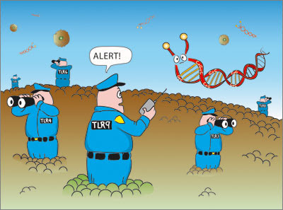 Cell plant unlabeled basic clip clker Escaping Anergy: The Immunology Research Blog: Learning to live