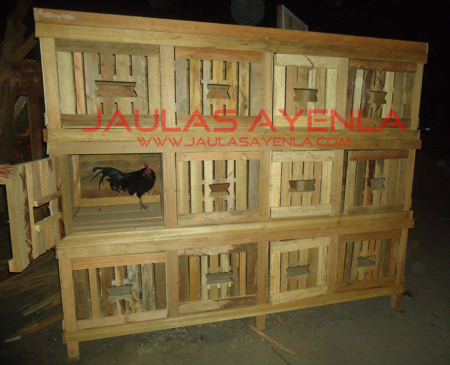 Jaulas Ayenla Casas de Mascotas JAULA DE GALLOS DE PELEA DISEÑOS