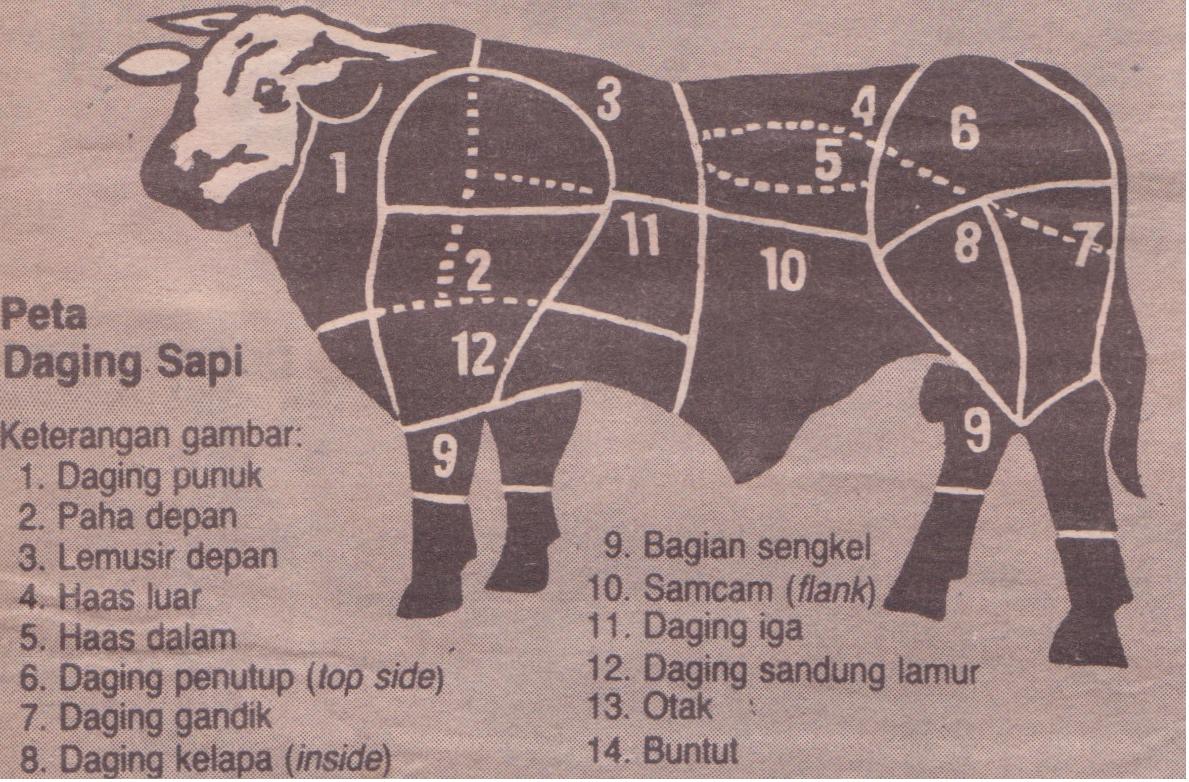 INDONESIAN KITCHEN: PETA DAGING SAPI