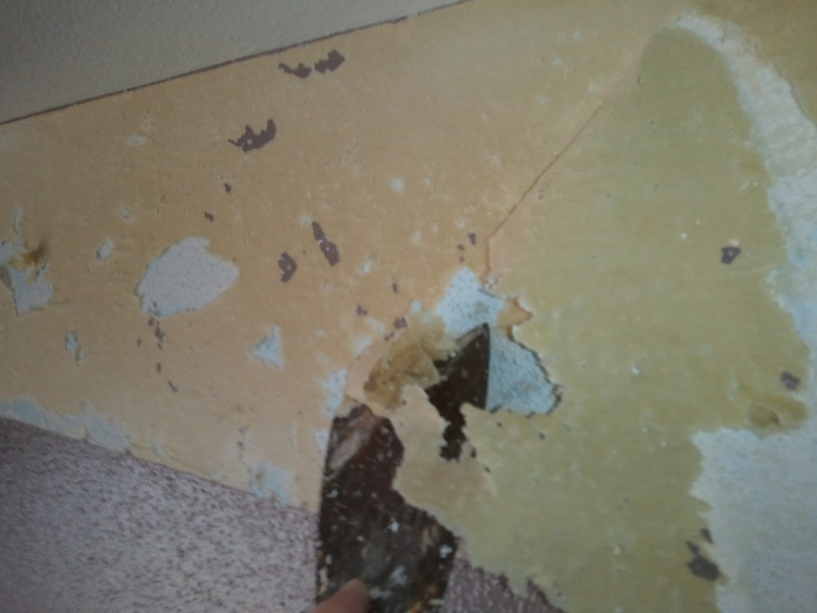 What is Shelly up to now? How to Remove a Wall Border