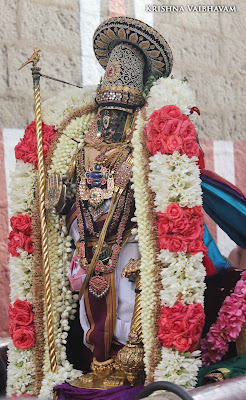 2015, Kodai Utsavam, Venkata Krishnan Swamy, Parthasarathy Temple, Thiruvallikeni, Triplicane,Day 05