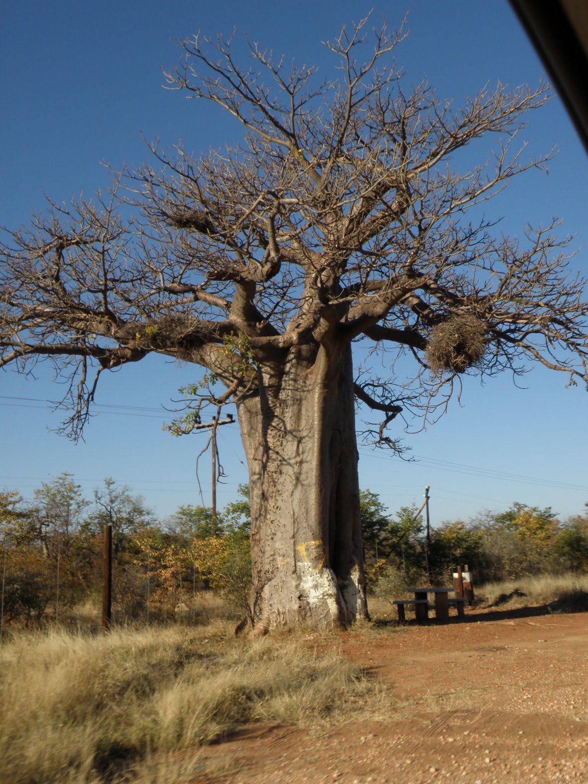 Camping Hot Water Heater >> Kristi and Charles: South Africa: Kruger National Park Camping Hot Water Heater >> Kristi and Charles: South Africa: Kruger National Park
