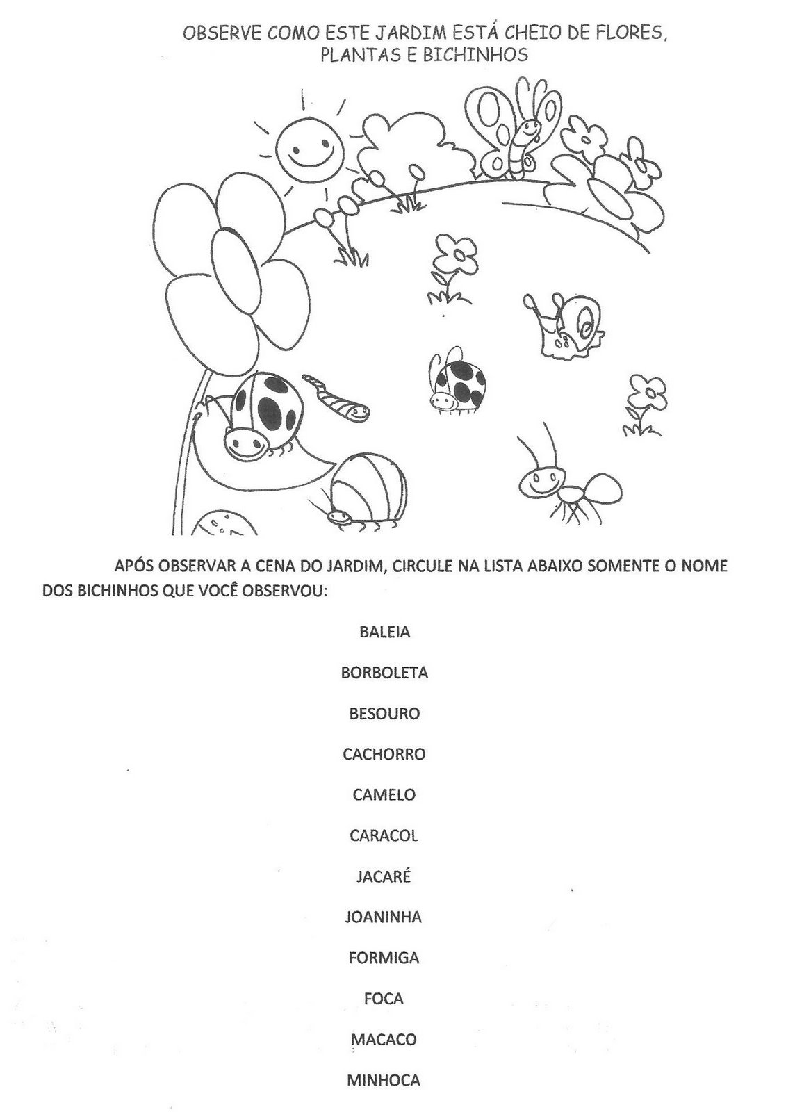 plantas de jardim lista:Projeto de de bichinhos de jardim – Atividades plantas de jardim lista:Projeto de de bichinhos de jardim – Atividades