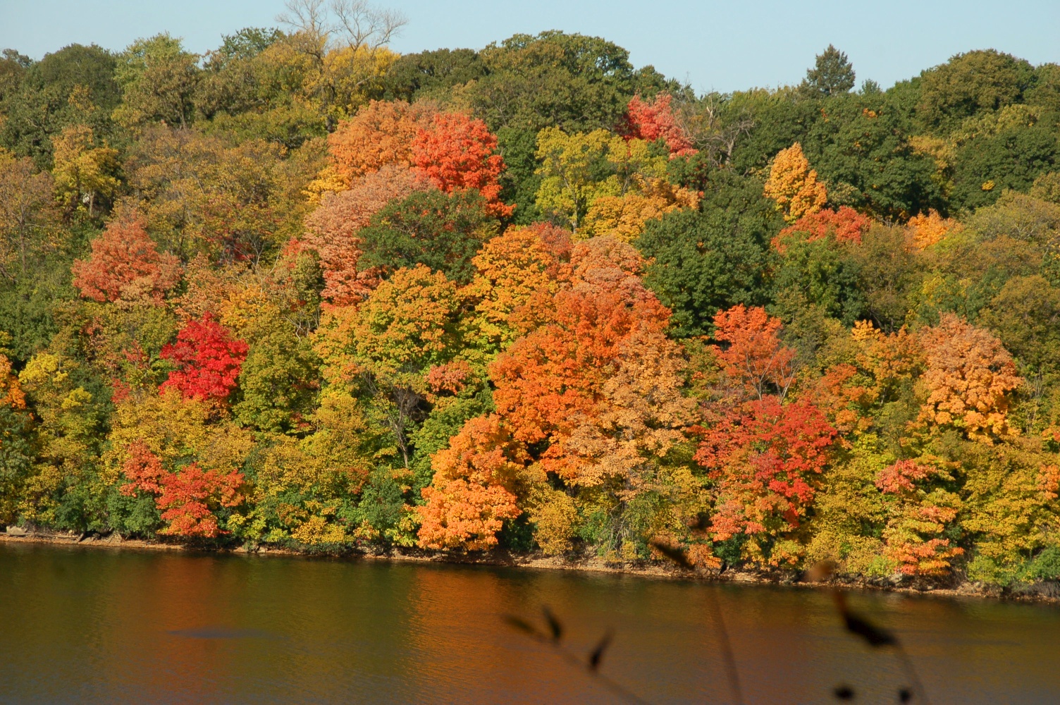 The Minnesota Forecaster September 2012