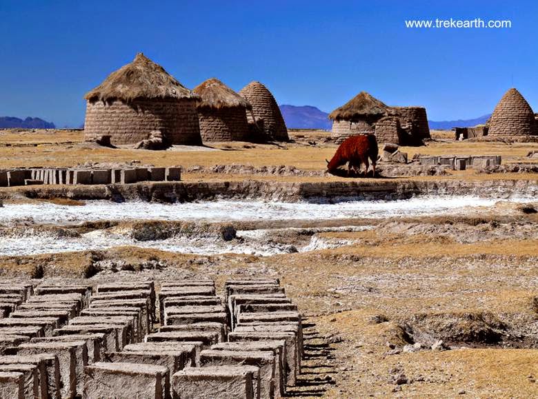 Elementos fabricados para levantar putucus y un conjunto de viviendas ya construidas Terrones para construir putucus en el Altiplano