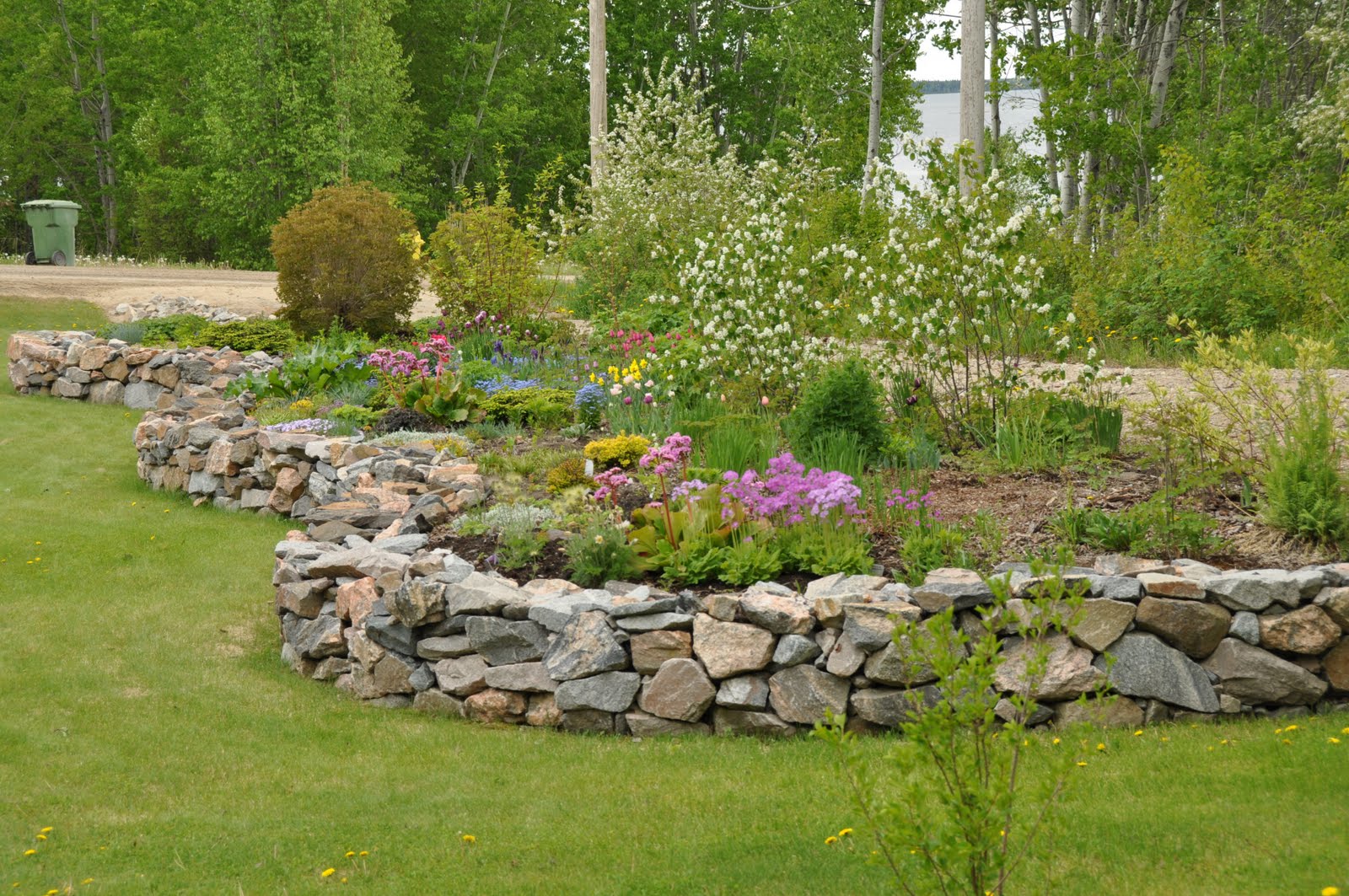 Northern Exposure Gardening Transplanting Day, A Procrastination