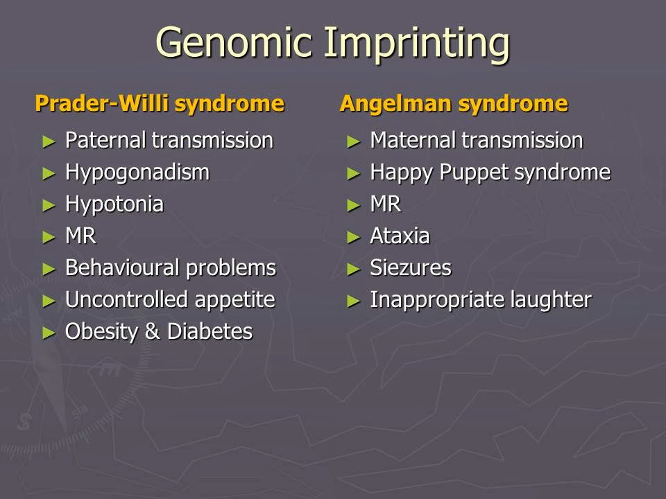 Slide 46