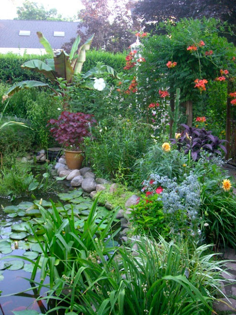 tropical garden in zone 5
