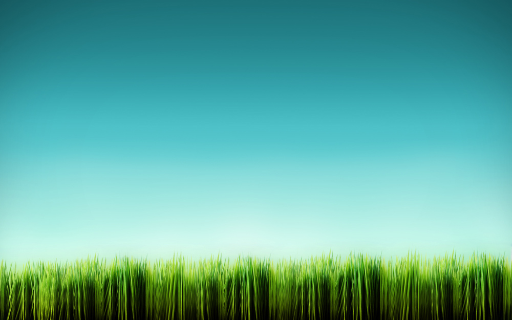 WALLPAPER Grass Wallpaper