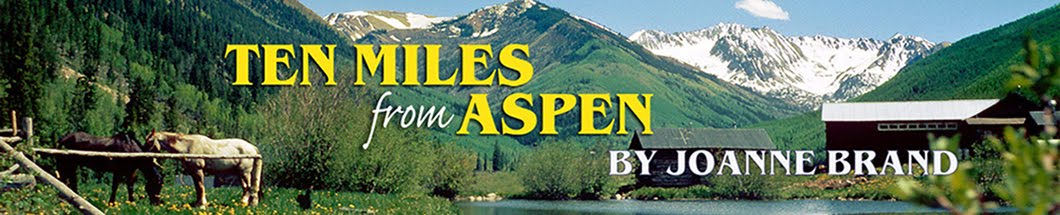 Ten Miles from Aspen Joanne Brand
