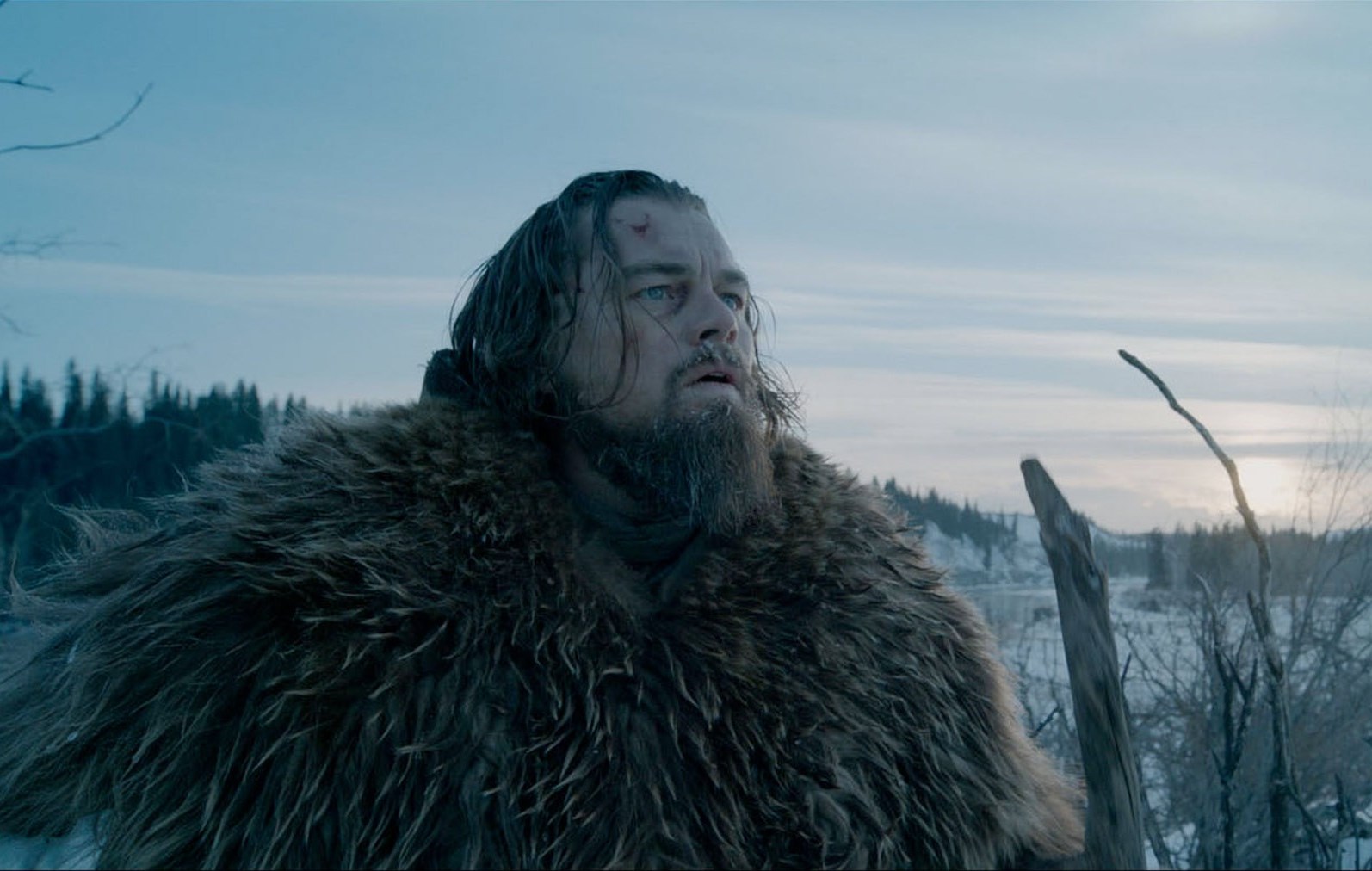 THE REVENANT (2015)