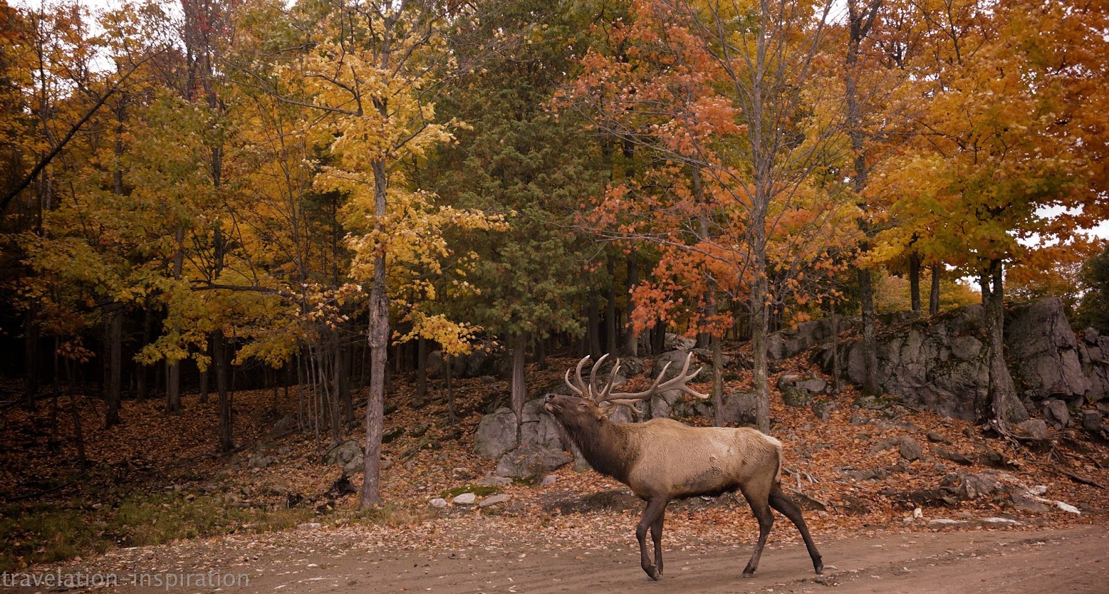 Travelation Inspiration Park Omega