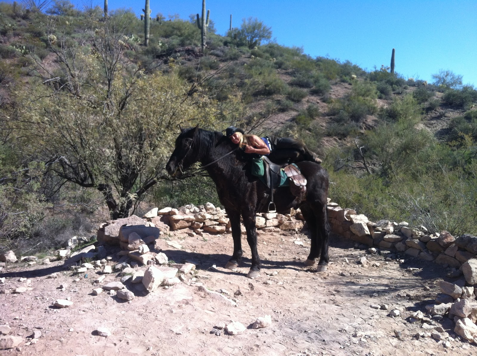 Camping and Horses Another great ride in Apache Junction