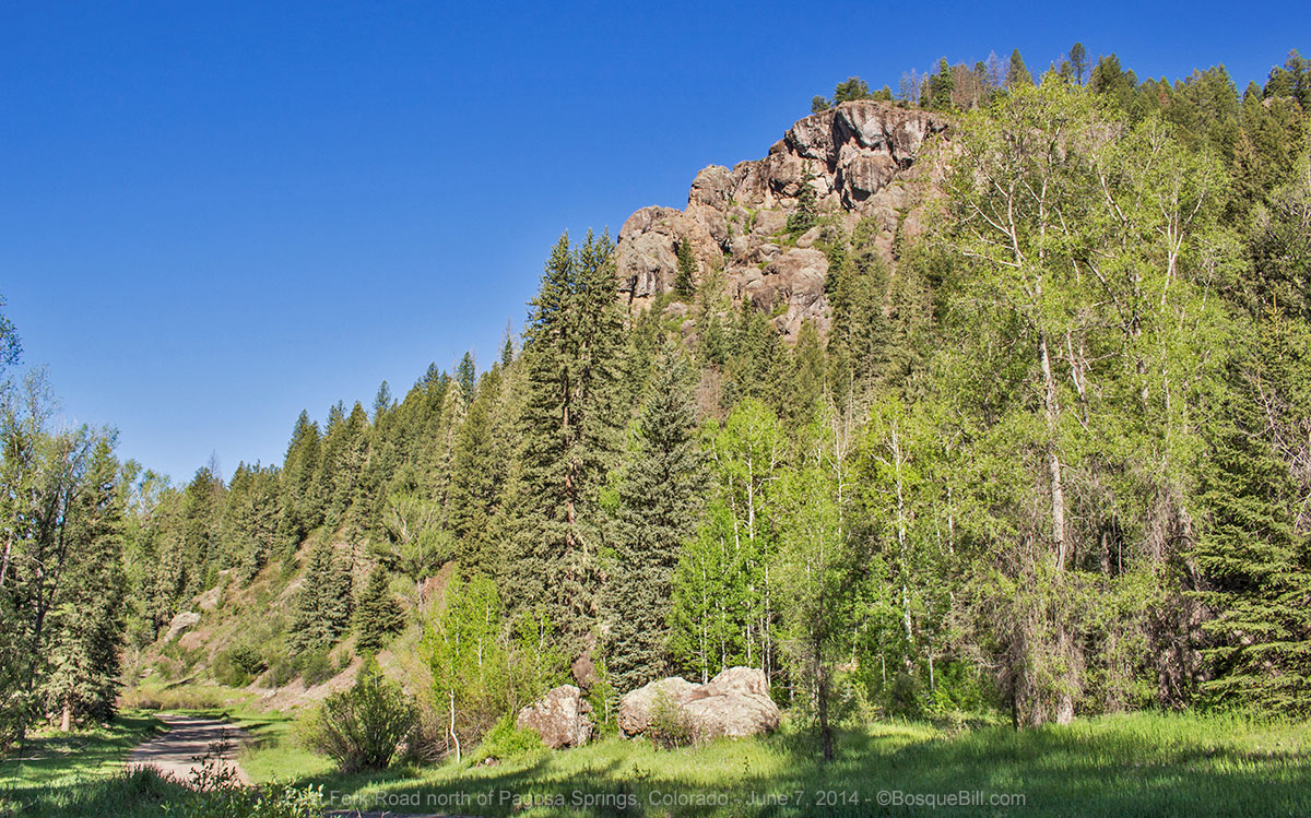Bosque Bill's Backroads June 2014