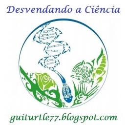 Blog Prof. Guilherme Mazzini