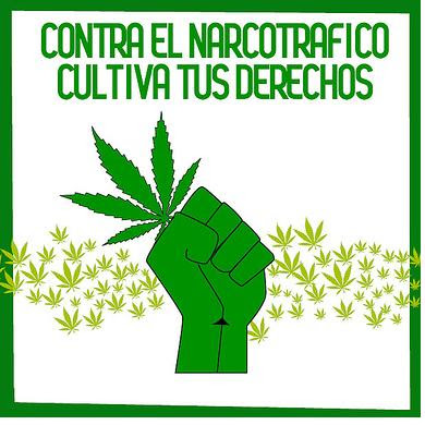 Foto De Marihuana