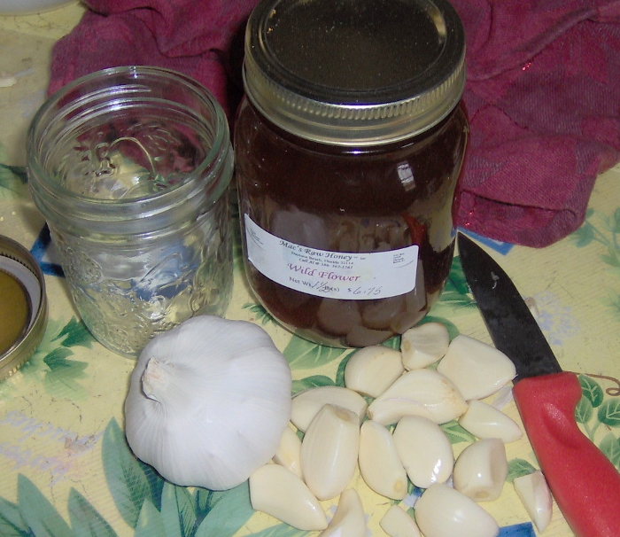 Consume Honey and Garlic for a Week and Experience Health Improvements