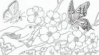 Planse de colorat flori de primavara