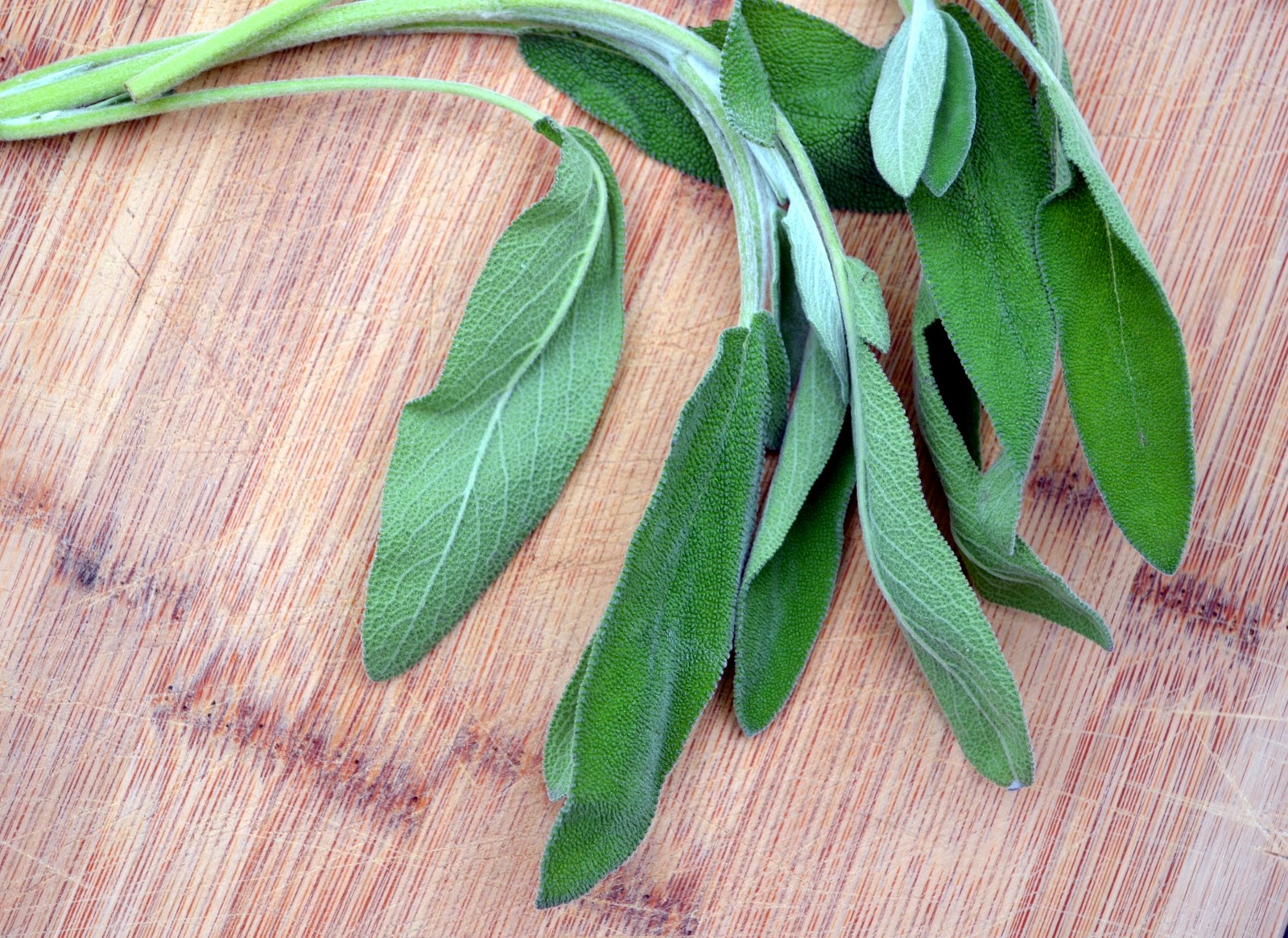 How to Fry Sage The Little Ferraro Kitchen