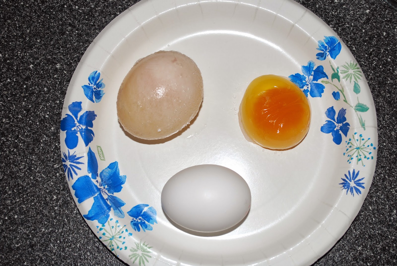 Nitty Gritty Science Eggmosis Teaching Selectively Permeable