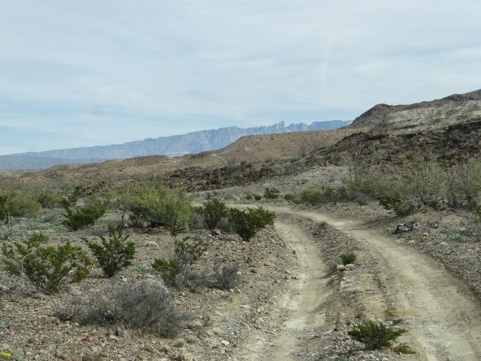Walkabout With Wheels Blog Black Gap Road in Big Bend National Park