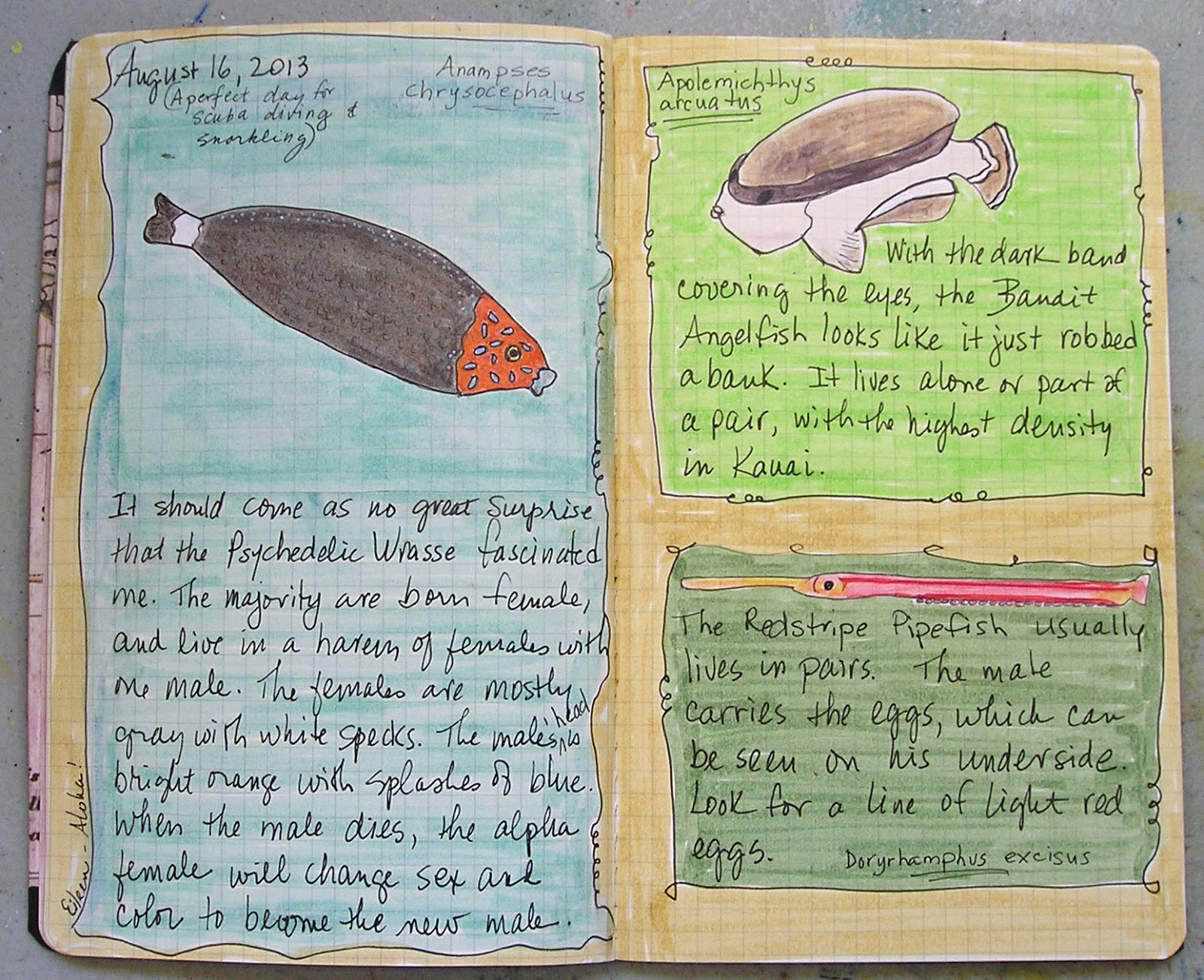 Biology field journal image