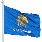 State Flag