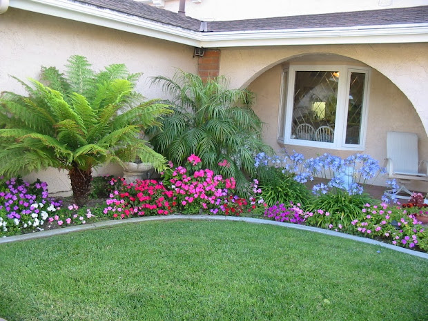 lawn care turn messed