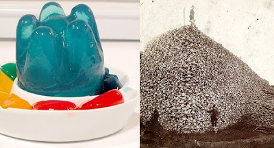 Foods Made With Disgusting Ingredients Seen On www.coolpicturegallery.us Foods Made With Disgusting Ingredients Seen On www.coolpicturegallery.us